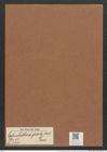 Cylindrotheca gracilis (Breb.) Grun. (de-Toni-Nr.: Genus 52, Species 2215) Zeichnungen Sammlung Grunow Mappe 02441 (Herbarium_W_Grunow_drawings_Folder_02441)